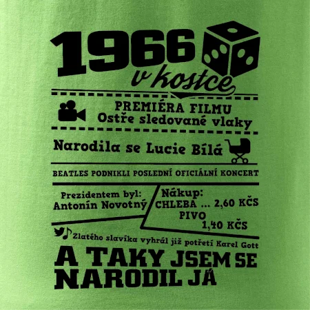 1966 v kostce