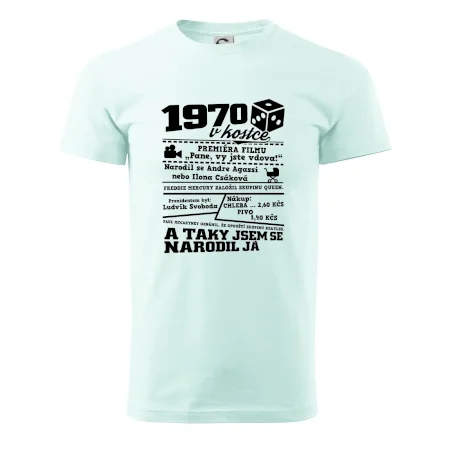 1970 v kostce