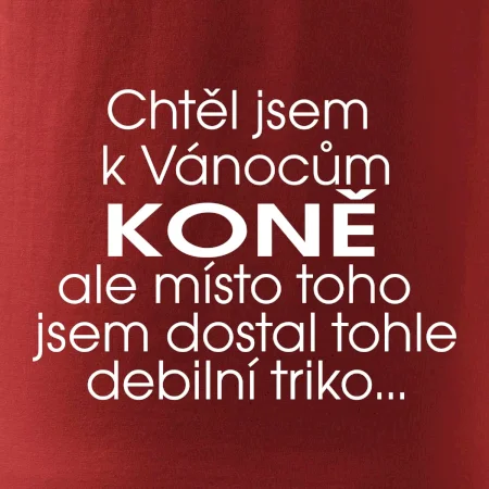 Chtěl jsem dostat k Vánocům koně