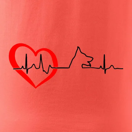 Německý ovčák ekg