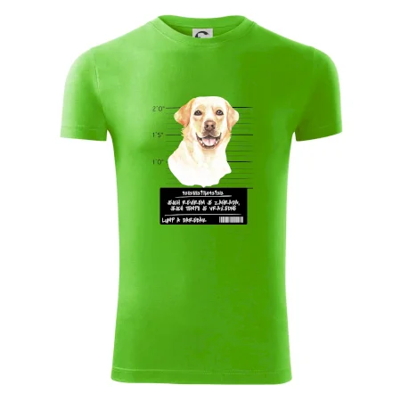 Lump a darebák labrador