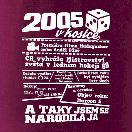 2005 v kostce