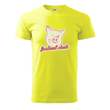 Festival chutí