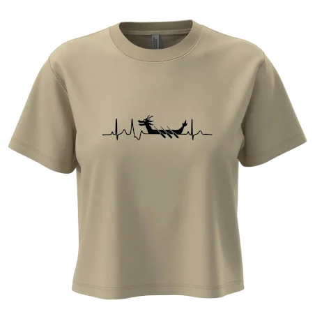 EKG dračí loď