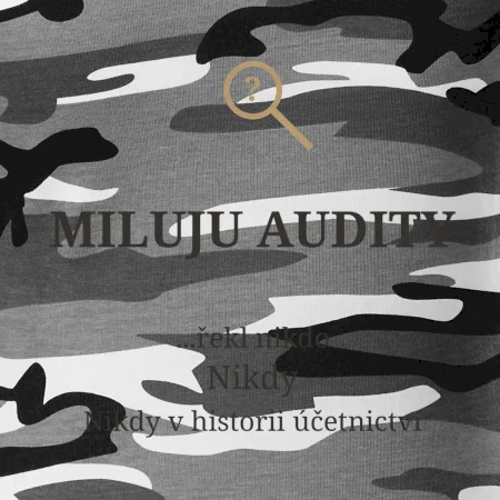 Miluju audity řekl nikdo nikdy