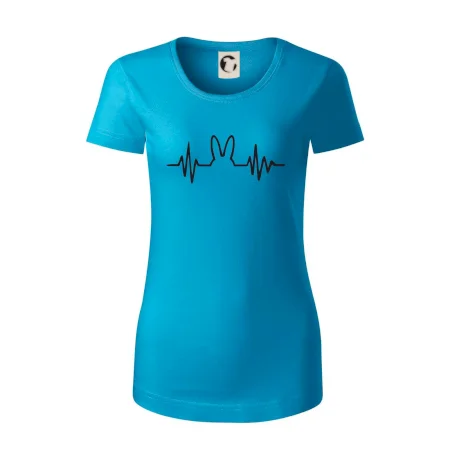 EKG zajíc