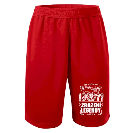 Zrození legendy - český lev