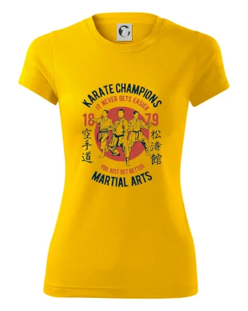 Karate Champions