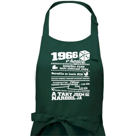1966 v kostce