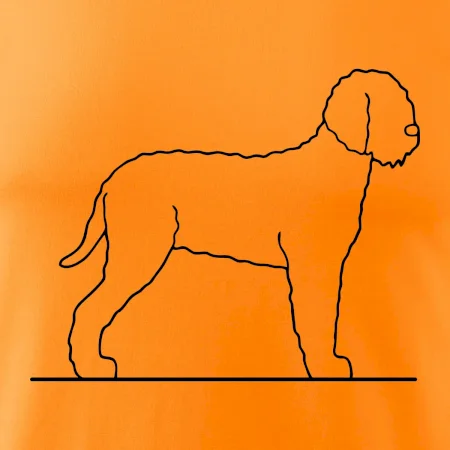 Lagotto romagnolo stojící