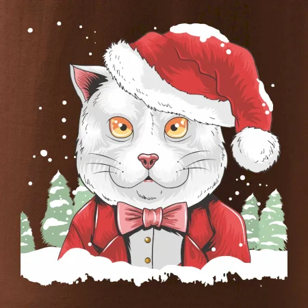 Santa kocour