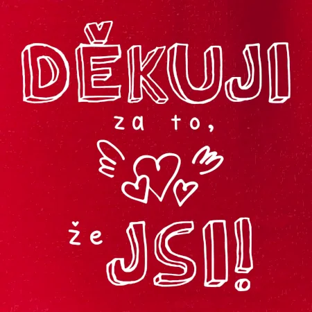 Děkuji za to, že jsi