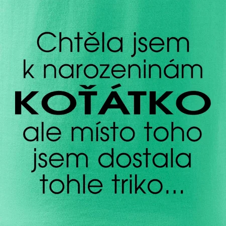 Chtěla jsem dostat k narozeninám koťátko