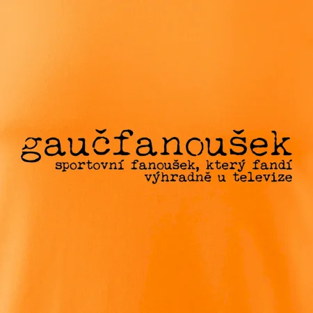 Čeština 2.0 - gaučfanoušek