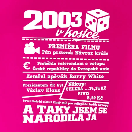 2003 v kostce