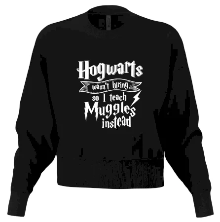 Harry - Hogwarts wasn’t hiring, so I teach Muggles instead