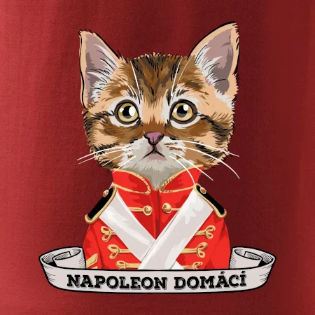 Napoleon domácí kočka