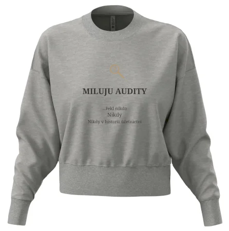 Miluju audity řekl nikdo nikdy