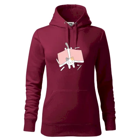 Učení na státnice kočka
