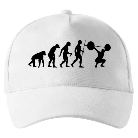 Evolution fitness
