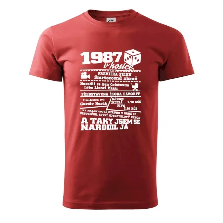 1987 v kostce