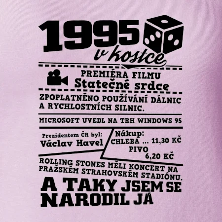1995 v kostce