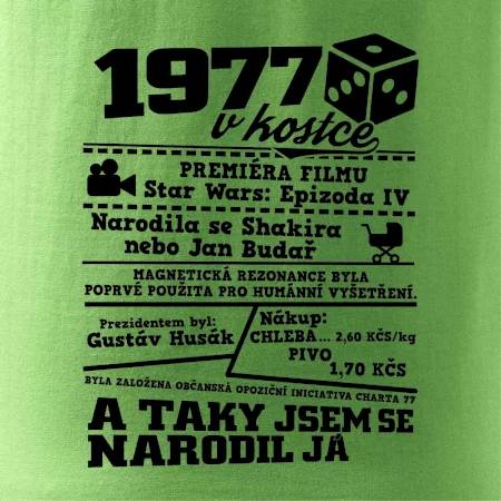 1977 v kostce
