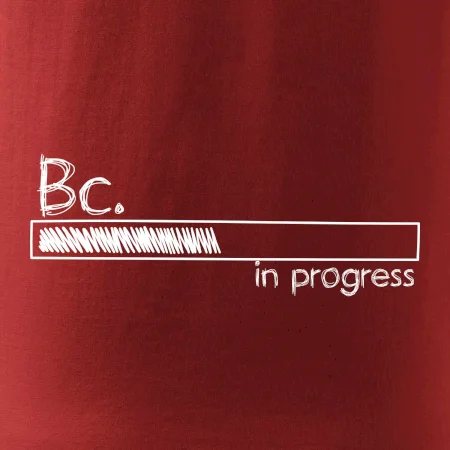 In progress  titul Bc. bakalář / bakalářka