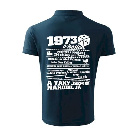 1973 v kostce