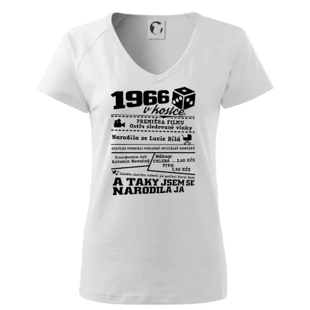 1966 v kostce