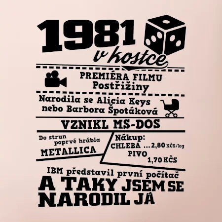 1981 v kostce