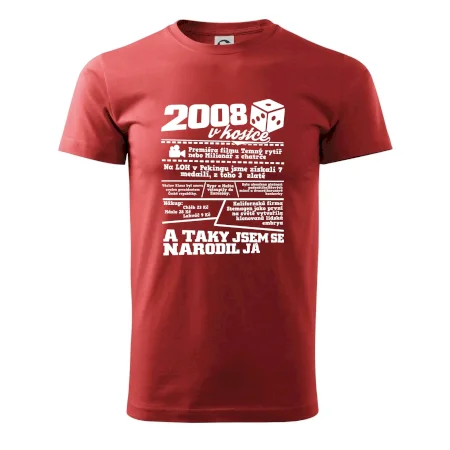 2008 v kostce