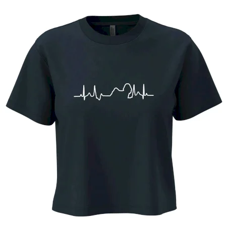 Shih-tzu ekg obrys