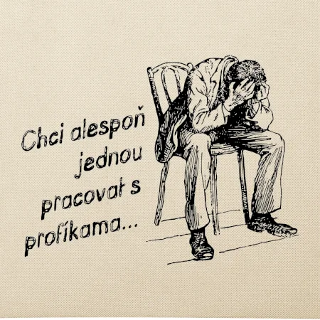 Chci alespoň jednou pracovat s profíkama