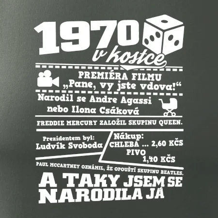 1970 v kostce