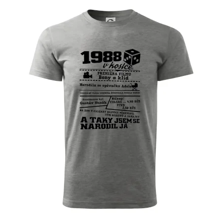 1988 v kostce