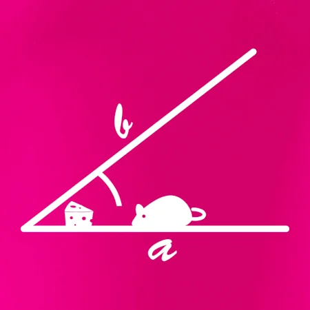 Matematická myš