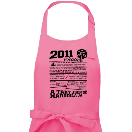 2011 v kostce