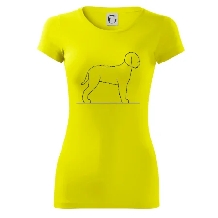 Lagotto romagnolo stojící