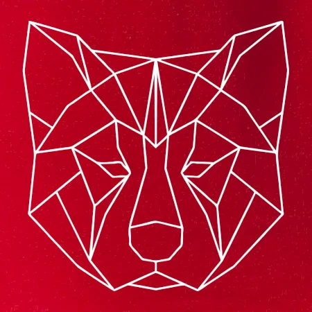 Akita Inu - Geometrie