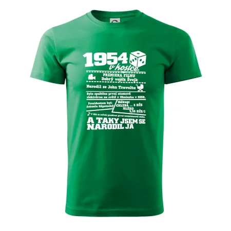 1954 v kostce