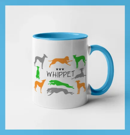 Whippet barevný