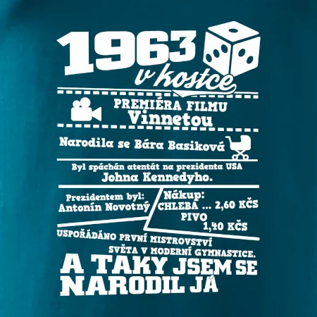 1963 v kostce