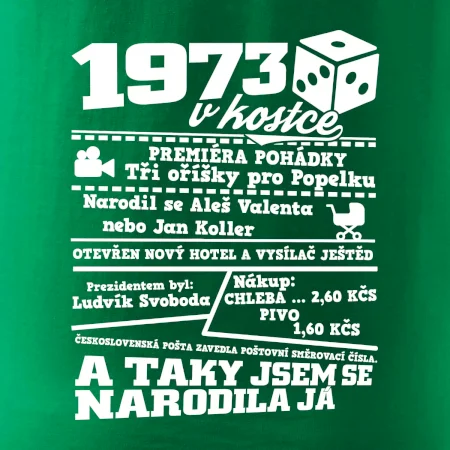 1973 v kostce