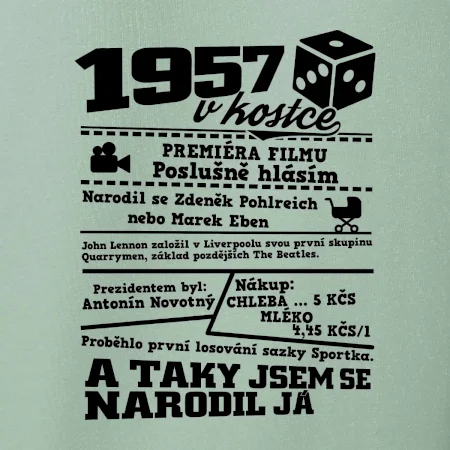 1957 v kostce