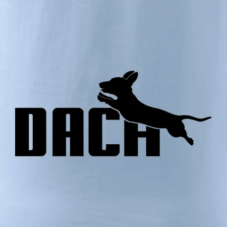 Jezevčík Dach
