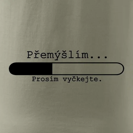 Přemýšlím