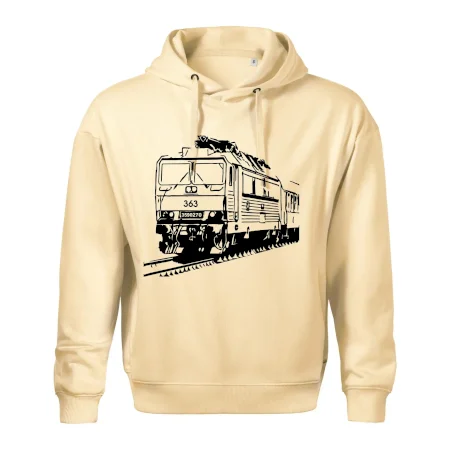 Vlak 363