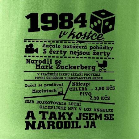 1984 v kostce
