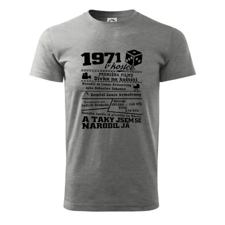 1971 v kostce